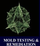 Commercial Mold Remediation